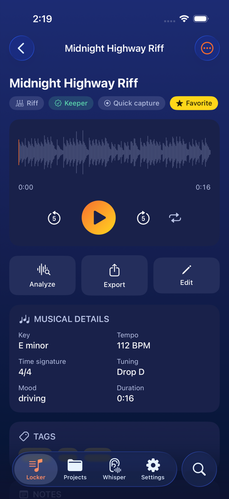 Riff detail with waveform, transport and musical details